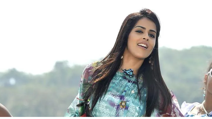 genelia d'souza in colorful top